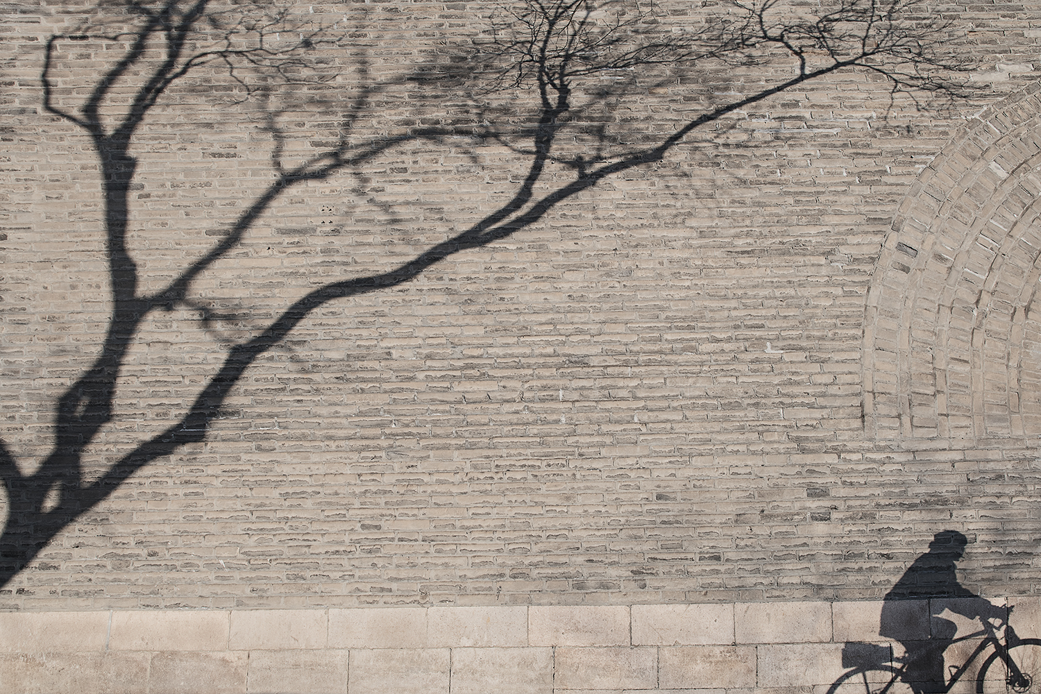 碎落在叶的宛平城 -BEIJING -CHINA -2019