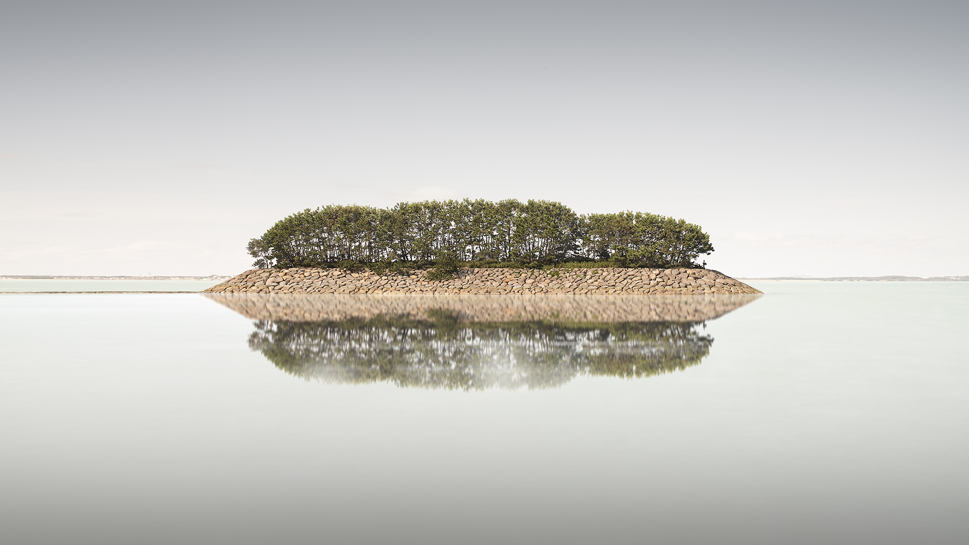 BUNCH OF TREES -KYUSHU -JAPAN -2019