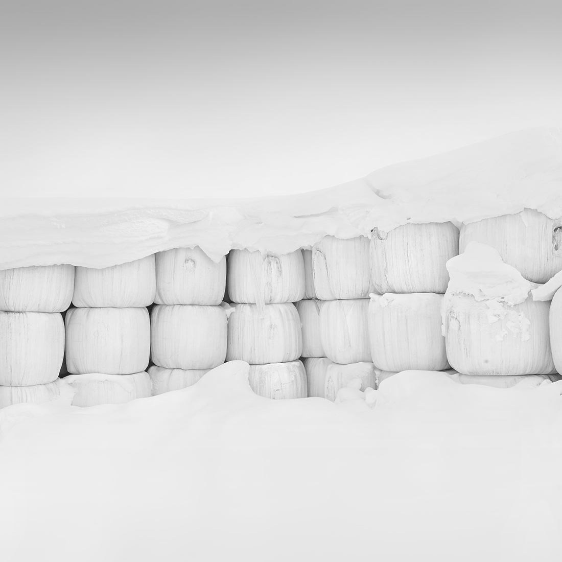 LITTLE WHITE NO.6 -BIEI -HOKKAIDO -2018