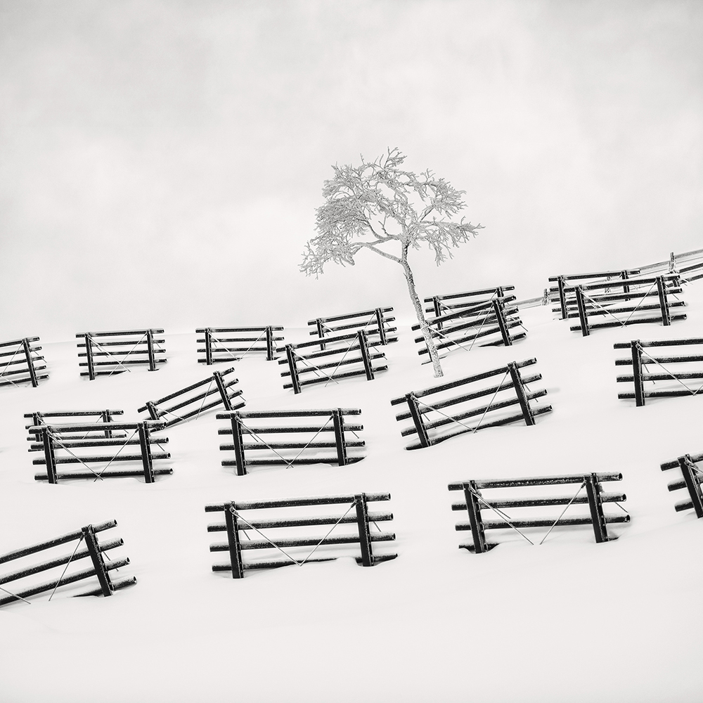 SNOW FENCE -HOKKAIDO -2017